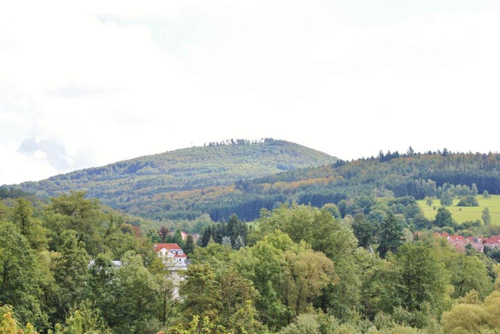 Schoene Ferienwohnung Am Schlosspark Bad Brückenau Buitenkant foto